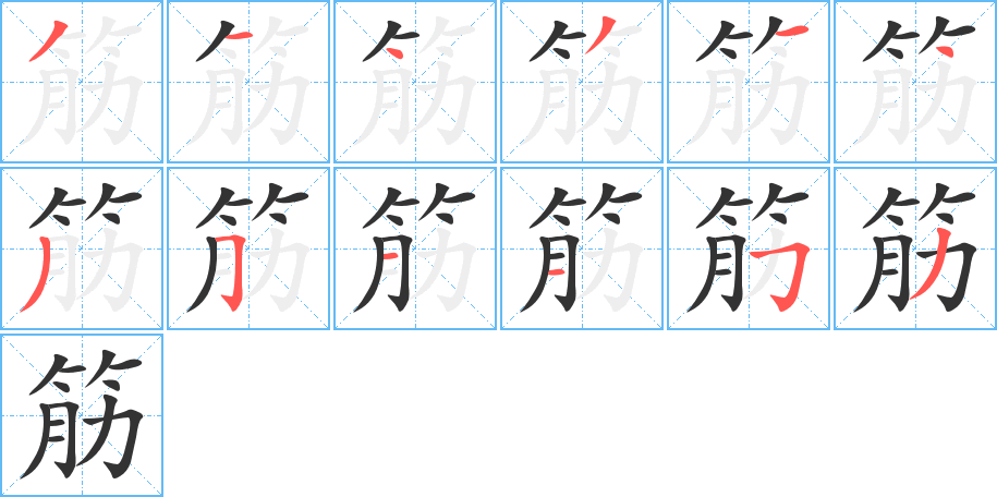 筋字筆畫(huà)寫(xiě)法