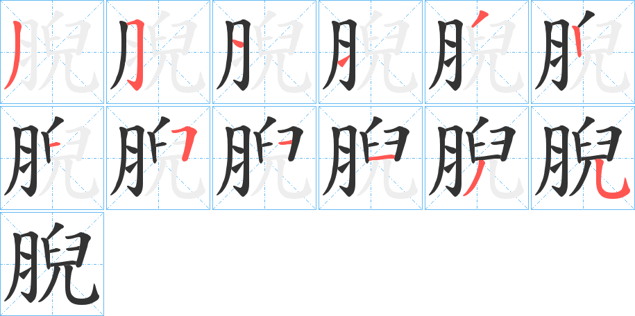 腉字筆畫(huà)寫(xiě)法