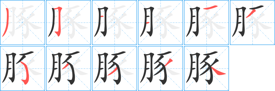 豚字筆畫(huà)寫(xiě)法