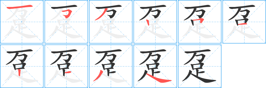 躉字筆畫(huà)寫(xiě)法