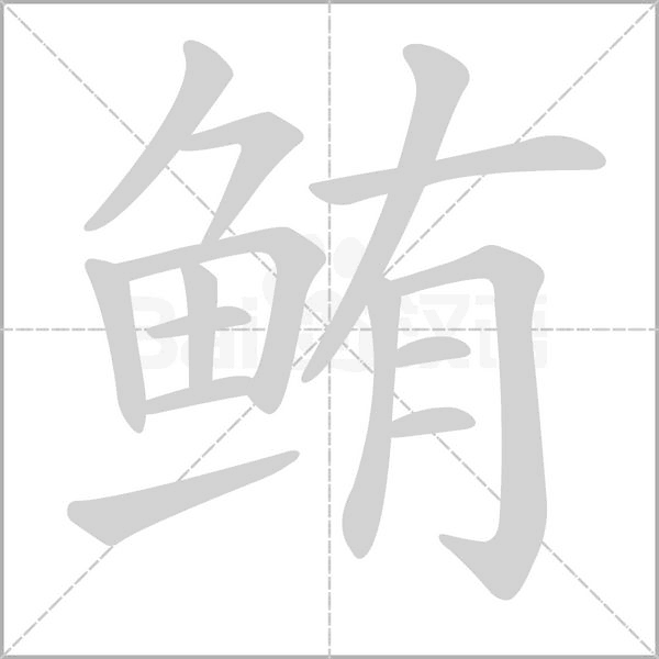 鮪的筆順